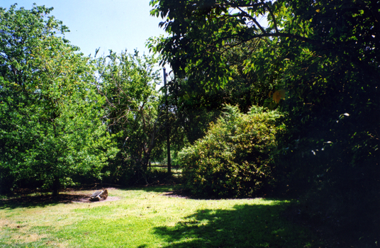 Old Strathdon orchard, house, and surrounds in Springvale Road, Forest Hill in 2008.