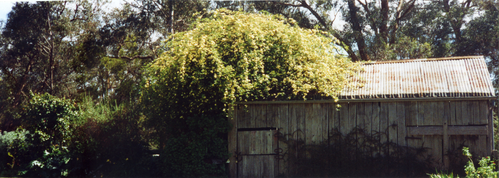 Barn at Schwerkolt Cottage in 2003.