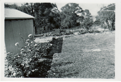 Turner home at 26 Salisbury Ave Blackburn showing a view of the back yard - June 1957