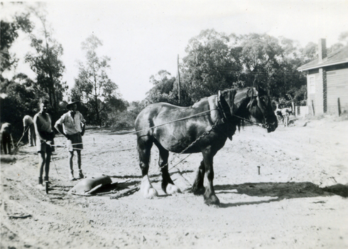 Working bee making the tennis court in Grove Street Vermont, now the site of the Vicarage.