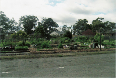 Photograph, Slaters Reserve - Community Garden, 1/08/2009