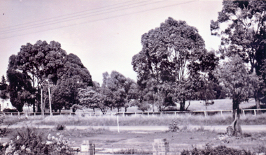  Western side of Springvale Road Nunawading in the 1950s showing the undeveloped area still used for farming.
