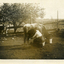 Woman milking a cow in a paddock
