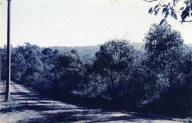  Bushland along Wattle Valley Road, Mitcham