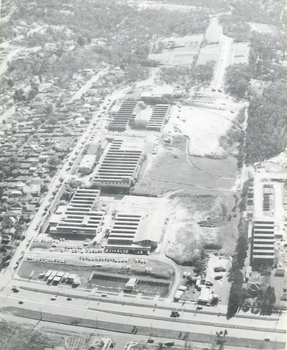 K.G.Luke Group of companies in 1959. 