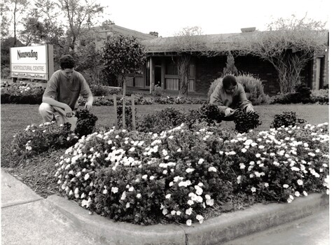 Two gardeners outside the council horticultural centre in Jolimont Road Forest Hill.