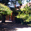 coloured photographs (a-h) of the Matheson house and orchard on Springvale Road, East Burwood. House, shed, windmill, old orchard and pine and cyprus in the photographs.