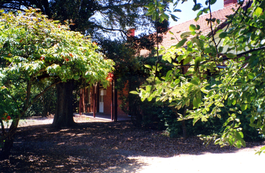 coloured photographs (a-h) of the Matheson house and orchard on Springvale Road, East Burwood. House, shed, windmill, old orchard and pine and cyprus in the photographs.