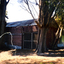 coloured photographs (a-h) of the Matheson house and orchard on Springvale Road, East Burwood. House, shed, windmill, old orchard and pine and cyprus in the photographs.