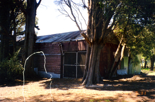 coloured photographs (a-h) of the Matheson house and orchard on Springvale Road, East Burwood. House, shed, windmill, old orchard and pine and cyprus in the photographs.