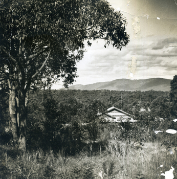 The house belonged to the Till family and was situated in Clive Street, Mitcham.