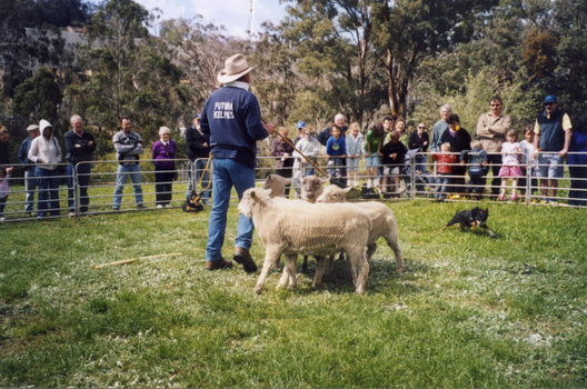 Heritage Open Day 2008 showing various activities and entertainment.