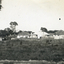 Twelve small black and white photographs (a-m) of the erection of Max Grant's house at 8, Hazelmere Avenue, Mitcham. 