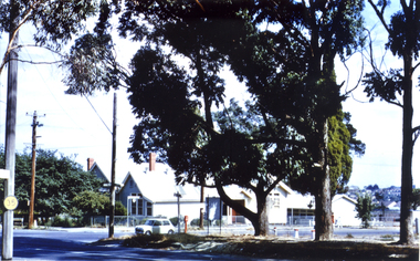 Photograph, Vermont Primary School