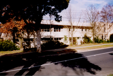 Photograph, Luke and Singer, 1998