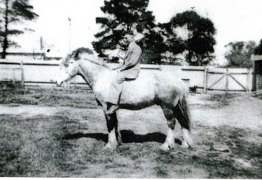 Black and white photograph of Jack Davin on his horse 'Old Bluey' in the backyard of their dairy at 204 Mitcham Road