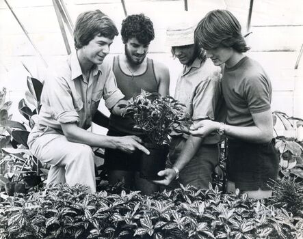 photograph of four males inside the hot house 
