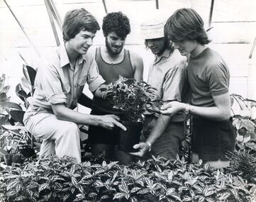 photograph of four males inside the hot house 