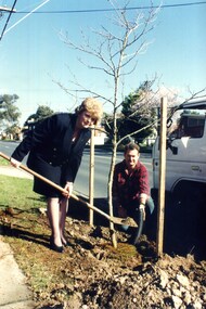 Coloured photo of Whitehorse councillor Kaele Way planting a tree