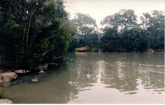 Photograph of a part of the lake showing a viewing platform.