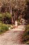 Photographs of various views along walking track near Deep Creek Mitcham.