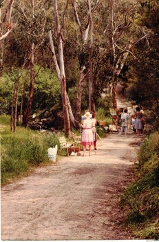 Photographs of various views along walking track near Deep Creek Mitcham.