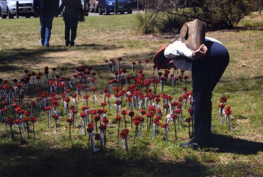 Whitehorse Historical Society Armistice centenary ceremony.