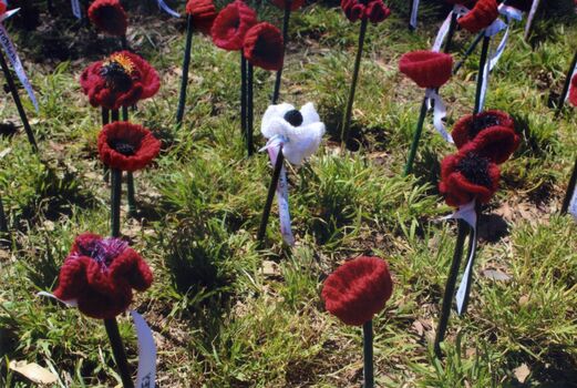 Whitehorse Historical Society Armistice centenary ceremony.