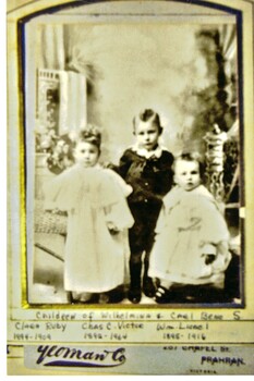  Sepia studio portrait of the children of Wilhelmina and Carl Beno Schwerkolt in their best clothes.