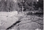 Eight black and white photographs showing the development of the house at 13 Marong Tce Forest Hill 1956 to 1958.