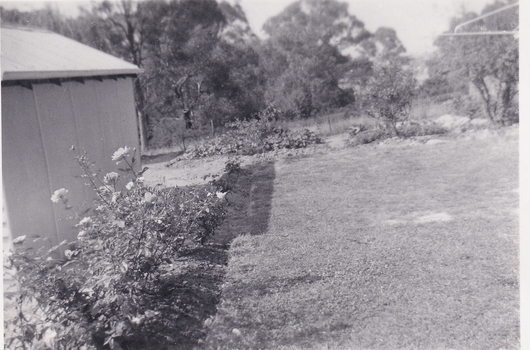 Eight black and white photographs showing the development of the house at 13 Marong Tce Forest Hill 1956 to 1958.