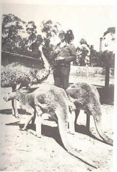 Dud Prior with kangaroos, emu and monkey in his private zoo.