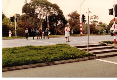 Coloured photograph of crossing supervisors ushering children across  Whitehorse Road Mitcham.