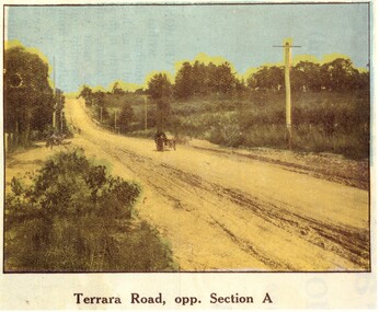 Hand coloured  black and white photograph of  Terrara Road Vermont showing dirt road and one buggy. 