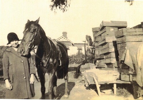 Jones  Flower Farm showing a young girl with a horse and packing cases.