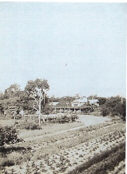 Jones Flower Farm.  The house is in the background .