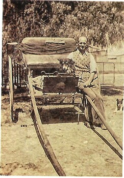 Louis Barelli sitting on a cart with a dog. The cart was used for bread delivery.