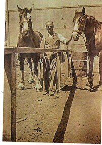 Louis Barelli shown with two horses that were used to deliver bread.