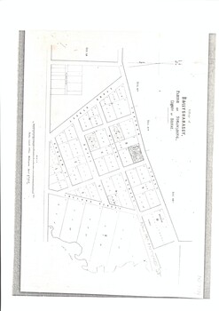 A map of the Village of Ballyshanassy