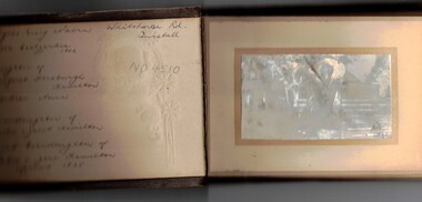 Nairn and Hamilton Families. Small brown album.