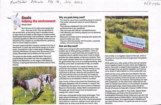 An article about the deployment of goats by GrazeAway to eradicate weeds