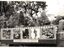 Black and white photograph advertising the Photographic Exhibition, Nunawading Arts Festival. Shows a lady sitting on a chair on the back of a truck, holding a parasol.