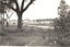 First houses built in the Blackburn Park Estate in Sussex Street in 1956.