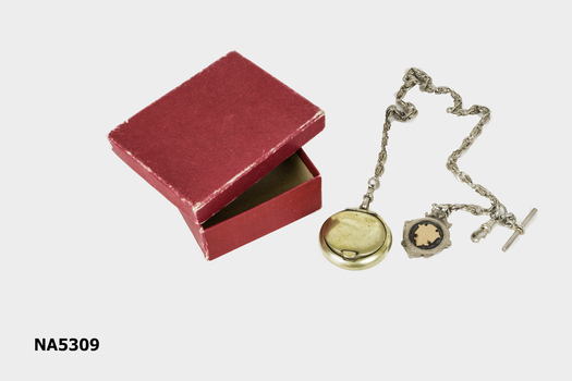 Silver chain and medallion in red cardboard box.