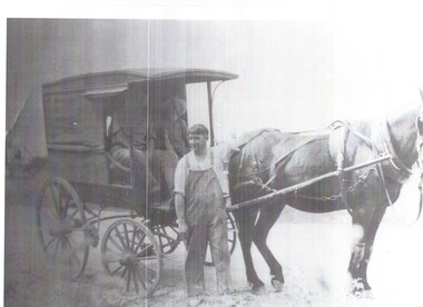 Fels poultry farm showing horse and cart. The horses name is Jim.