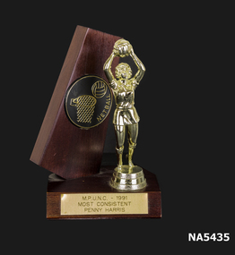 Netball trophy