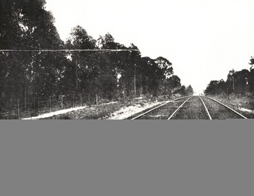Blackburn Railway Line heading toward to Mitcham.