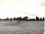 Proposed land for the new Nunawading Community Youth Centre in 1980.