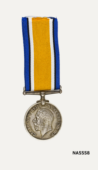 British war medal