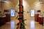 NuNawading Community Hub